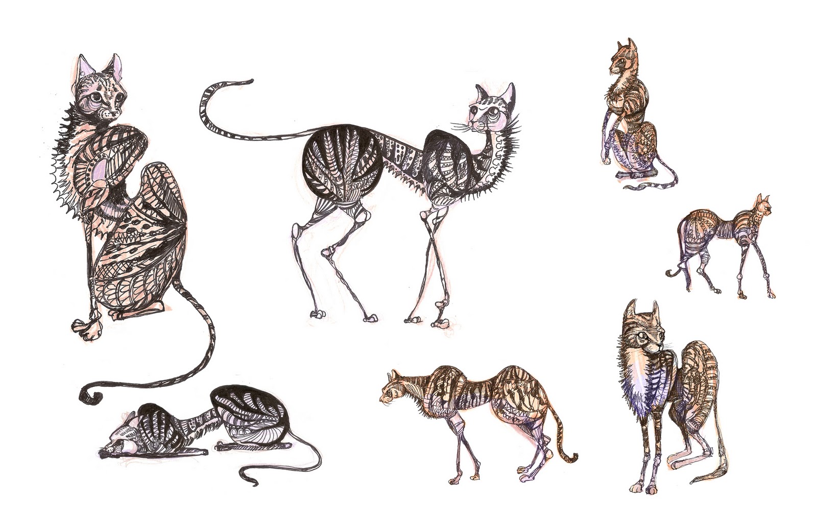 1600x1035 Kira Formina Cute Skinny Kate Moss Cat Character