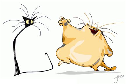 432x288 Fat Skinny Cats Fat And Thin Chronic Kidney Disease