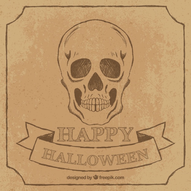 626x626 Vintage Skull Drawing Background Vector Free Download