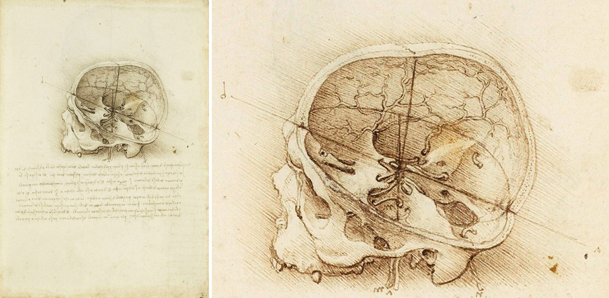 1236x604 How To Draw A Skull