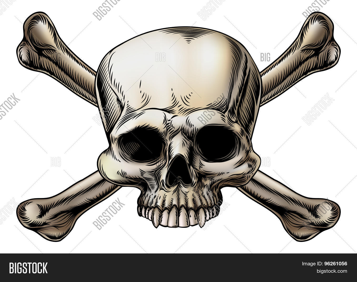 1500x1185 Skull Crossbones Drawing Vector Amp Photo Bigstock