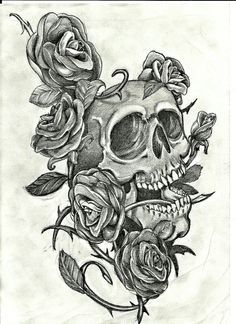 236x324 Skull And Rose Drawing Drawings
