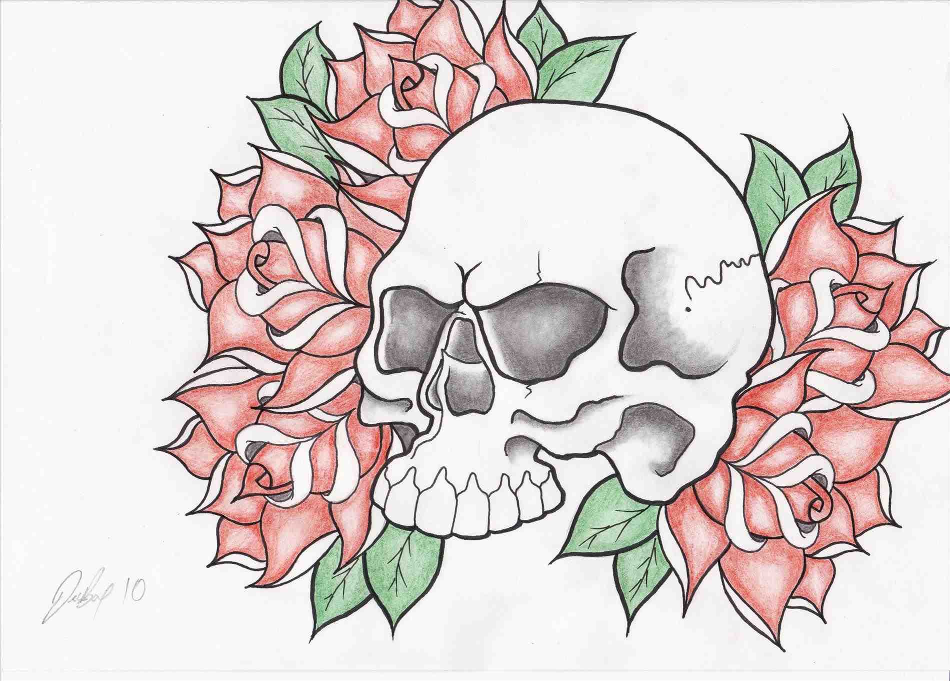 1900x1361 Art Drawings Of Roses And Skulls