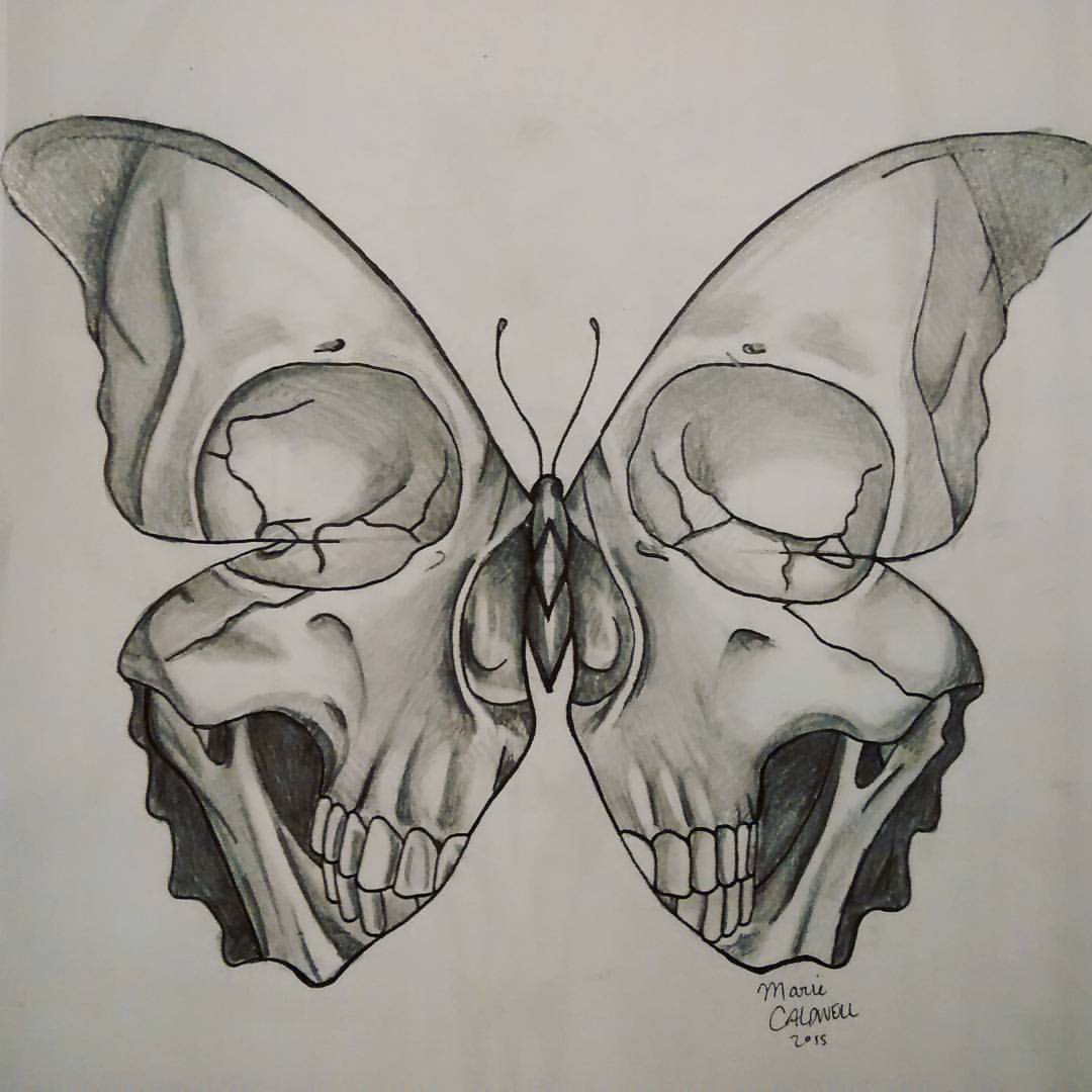 Skull Butterfly Drawing at GetDrawings | Free download