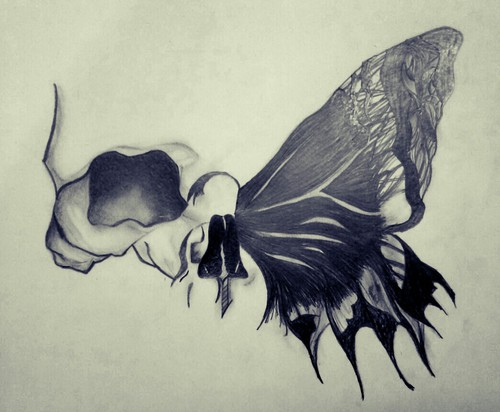 Skull Butterfly Drawing at GetDrawings | Free download