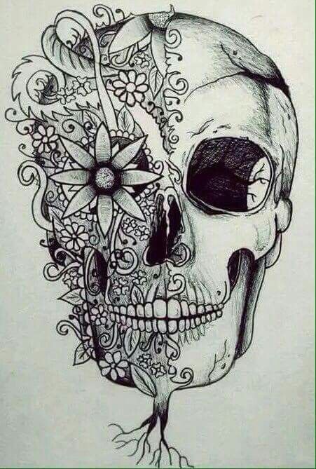 451x669 Gallery Artist Who Draw Skulls,