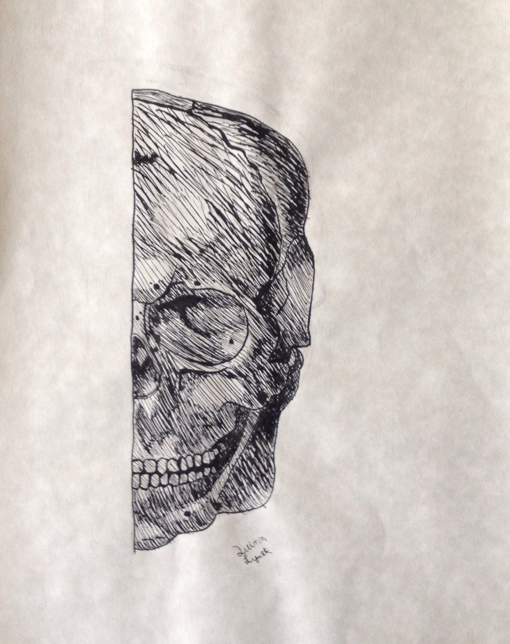 1000x1261 Quinn Lysek Art Skull Drawing