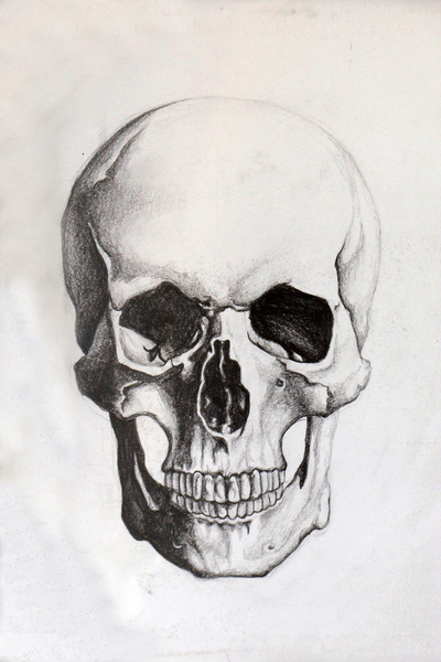 400x600 Skull Sketch Tattoo Skull Sketch, Sketches And Tattoo
