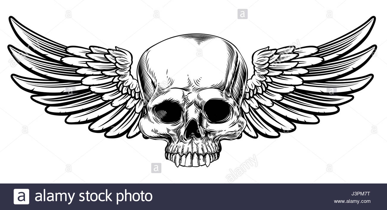 1300x705 Winged Skull Vintage Woodcut Etched Or Engraved Style Drawing