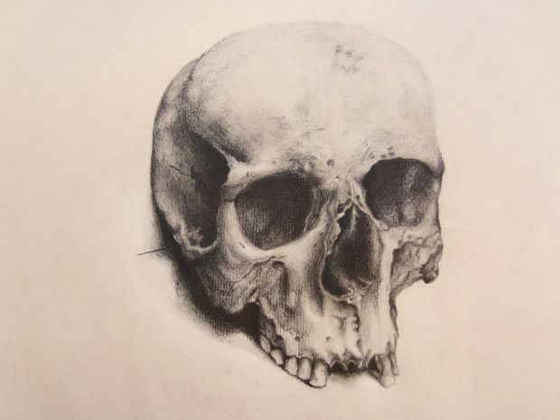 620x465 Skull Drawings, Art Ideas Design Trends