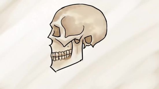 550x309 3 Ways To Draw A Skull