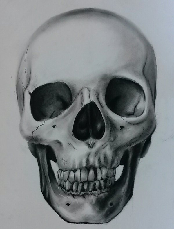 600x788 Skull