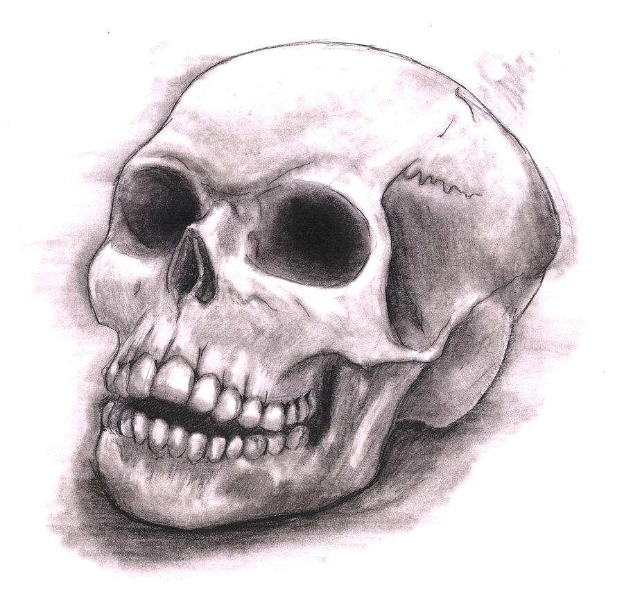 900x856 Skull Drawing By Zacpensol