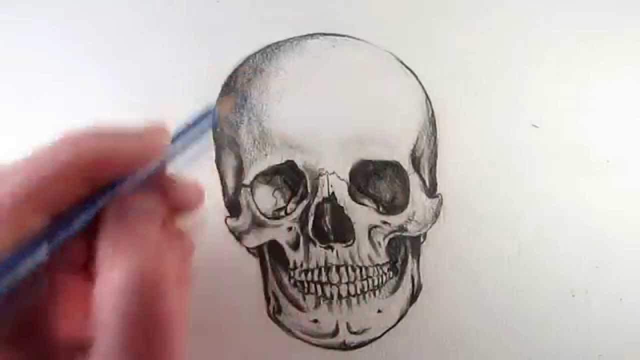 1280x720 Head Skeleton Drawing Skeleton Head Drawing Skull Drawing Best
