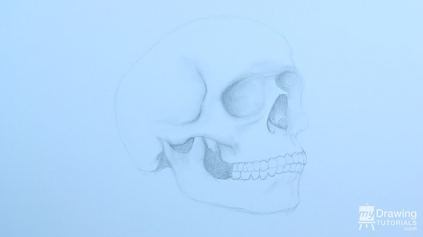 600x337 How To Draw A Skull In 34 View My Drawing Tutorials