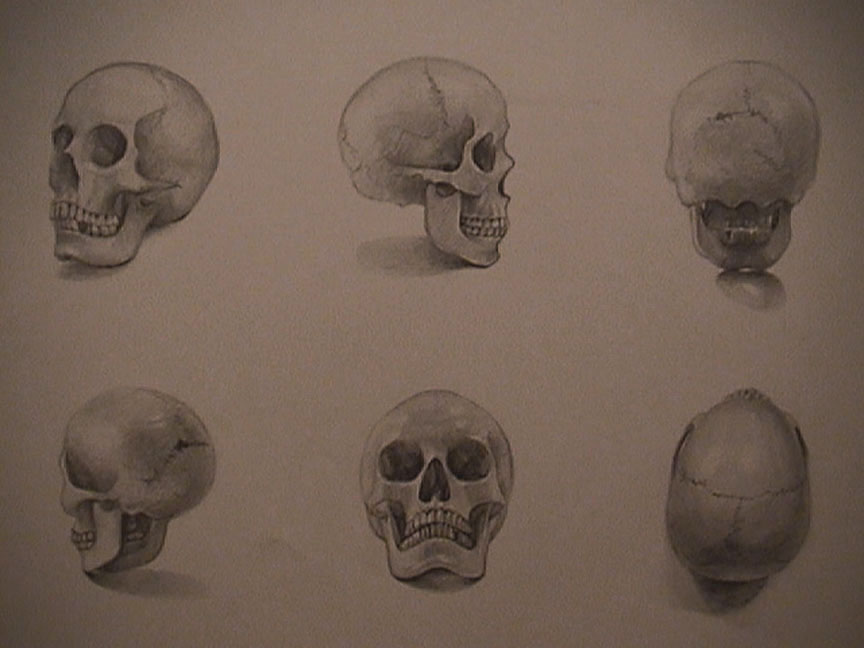 864x648 How To Draw A Skull 50 Tutorials Drawn In Black