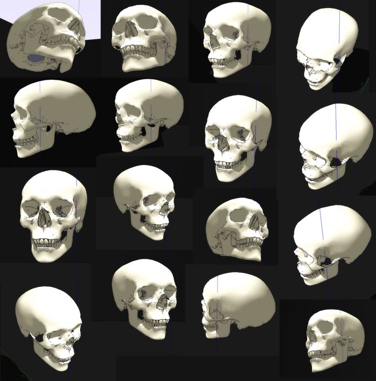 736x745 Yes, There Is Such A Thing As A Unit Of Death Anatomy Bones