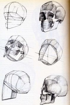 236x354 Human Anatomy 8 By Ivany86 On Caveiras Desenho