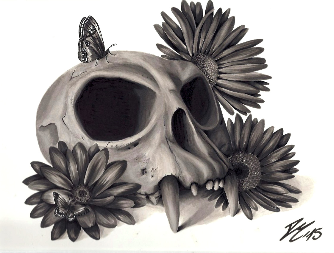 1122x849 Skull Flower Butterfly Drawing Blackandgrey
