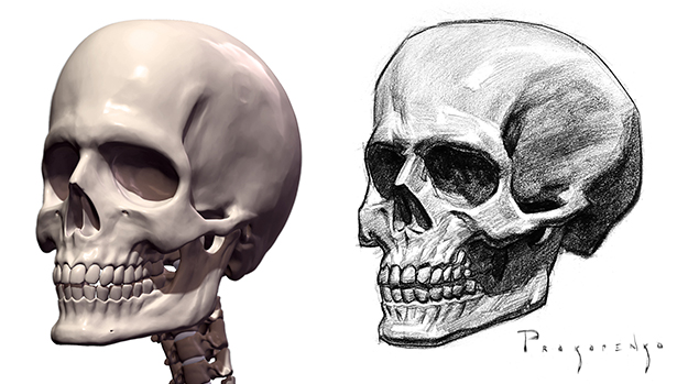 625x349 How To Draw A Skull