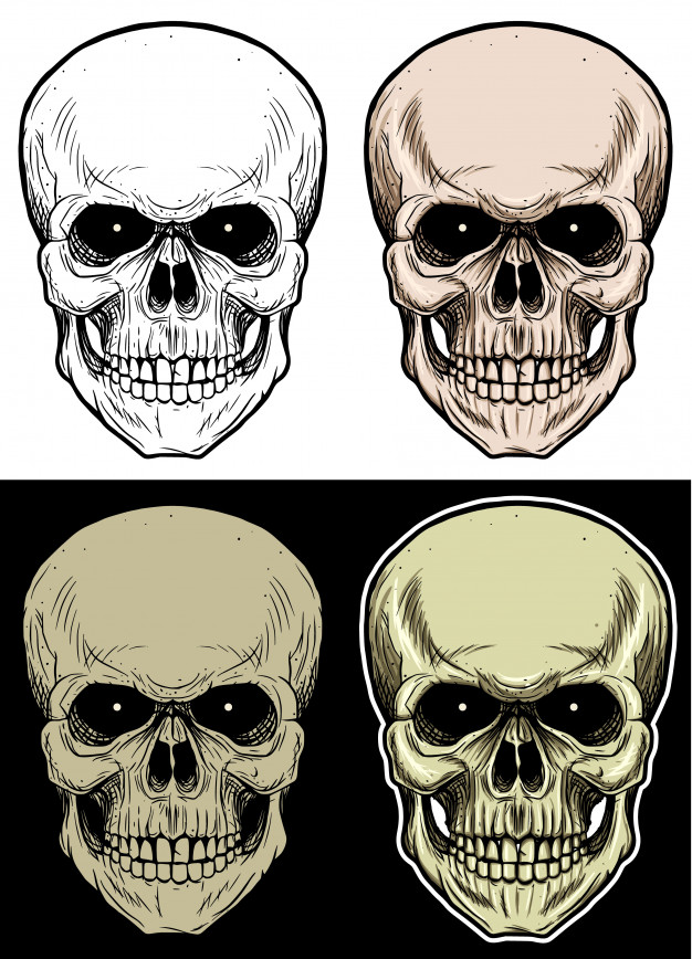 626x868 Skull Head Drawing Illustration With 4 Variation Color Vector