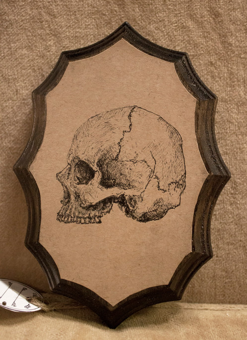 498x685 Mounted Skull Drawing