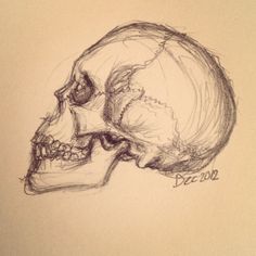 236x236 Skull Side Profile Drawing Can You Draw Like This Learn