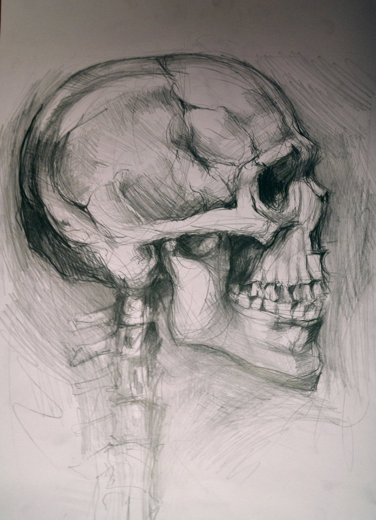 760x1050 Skull Profile By Martellaa