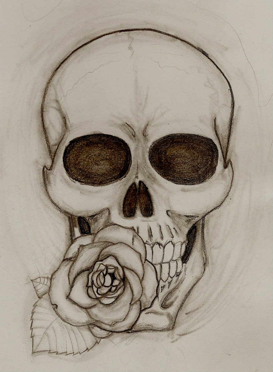 900x1227 Skull And Rose By Bigevilgorilla