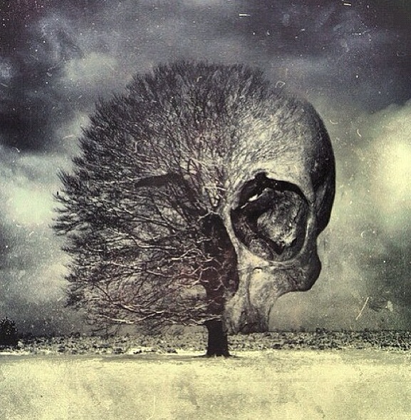 577x589 Skull Tree Drawing Art I Can Never Do