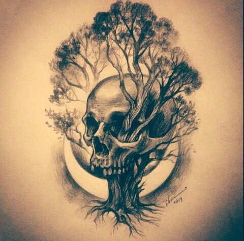 480x474 Skull Tree Life Illustration Shariden Illustrators
