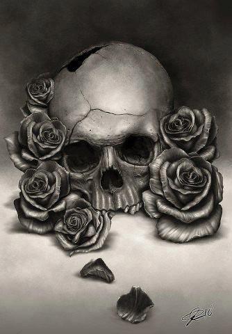 334x480 Skull And Roses By Rodger Pister Sketch Drawing, Drawing