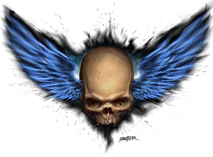 900x663 Skull And Wings By On @