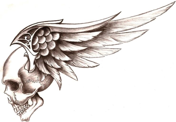 739x513 Skull Wings By On @ Quotes