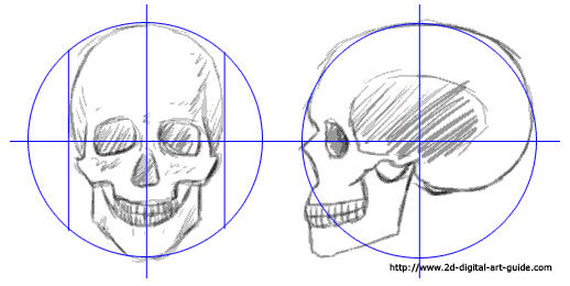 518x260 How To Draw A Skull On 2d Digital Art Guide Van Gogh Portraits