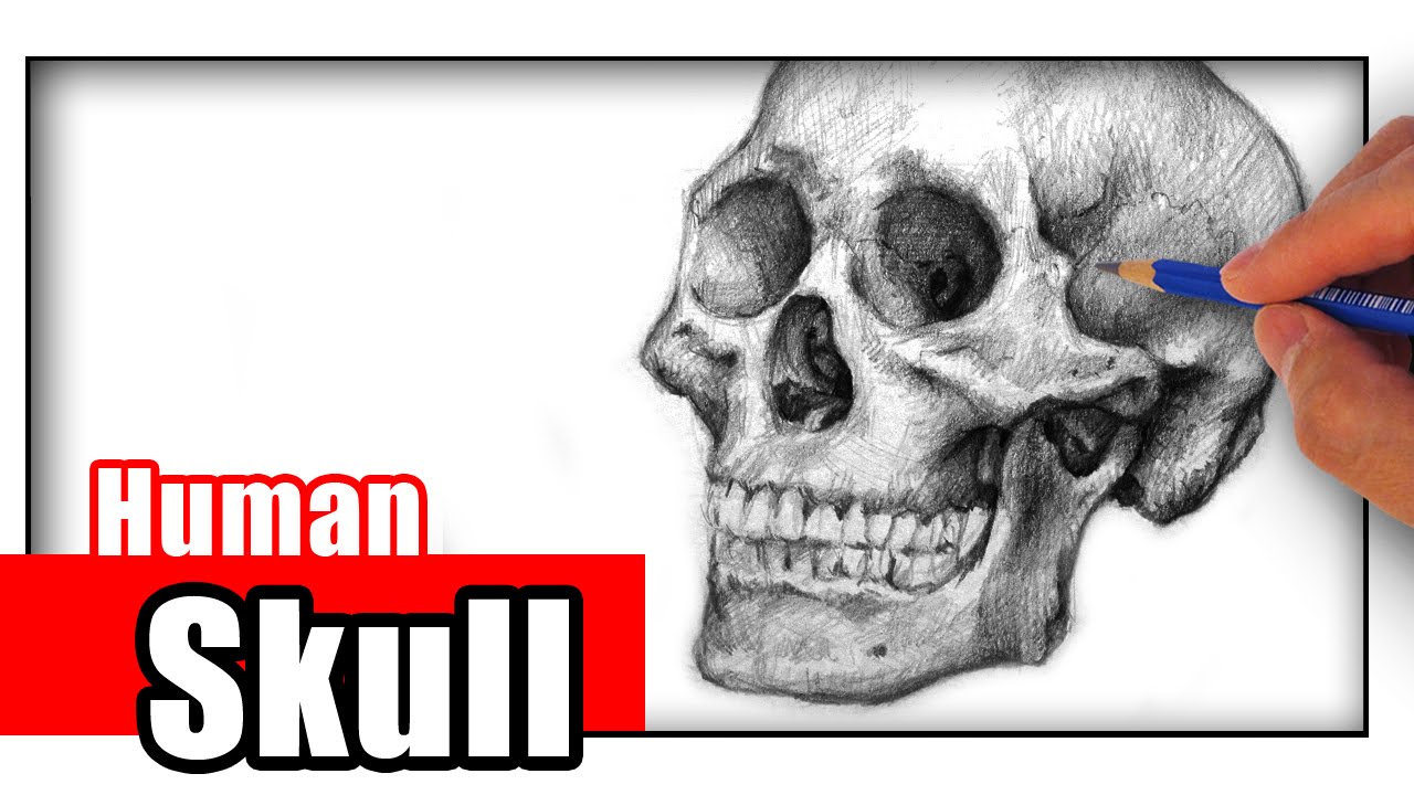 1280x720 How To Draw A Skull With Pencil
