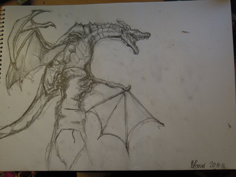 900x675 Skyrim Dragon By Neevle93