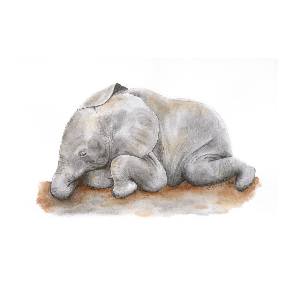 1024x1024 Sleeping Baby Elephant Nursery Art Tiny Toes Design