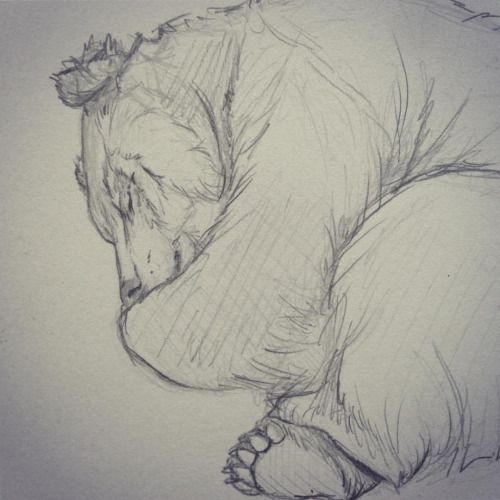 500x500 Quick Sketch Of A Sleeping