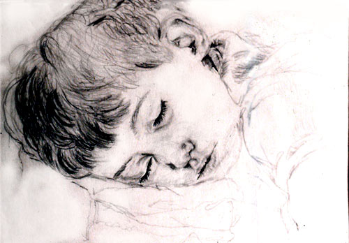 500x348 Drawing Portfolio Of Fine Artist Amp Illustrator Diana Ludwig