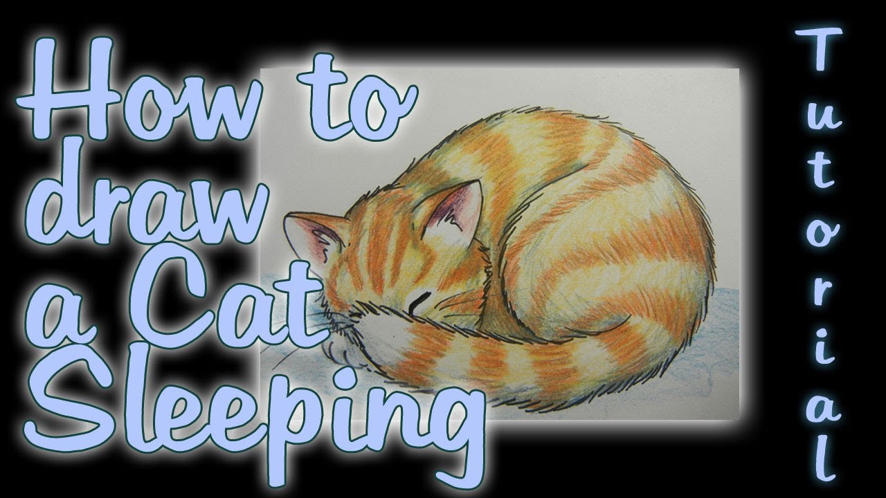 1280x720 How To Draw A Cat Sleeping