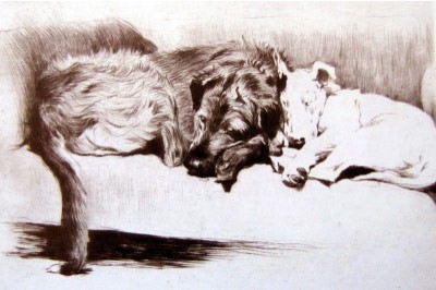 400x266 Drawing Sleeping Dogs