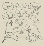 170x178 How To Draw A Sleeping Dog, Sleeping Dog, Step By Step, Pets