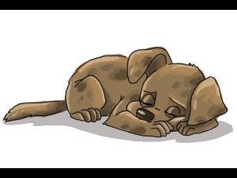 480x360 How To Draw A Sleeping Dog
