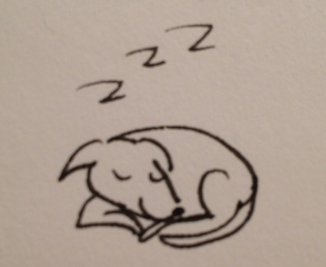 1039x850 My 11 Year Old Drawing Our Dog Sleeping, Too Cute )