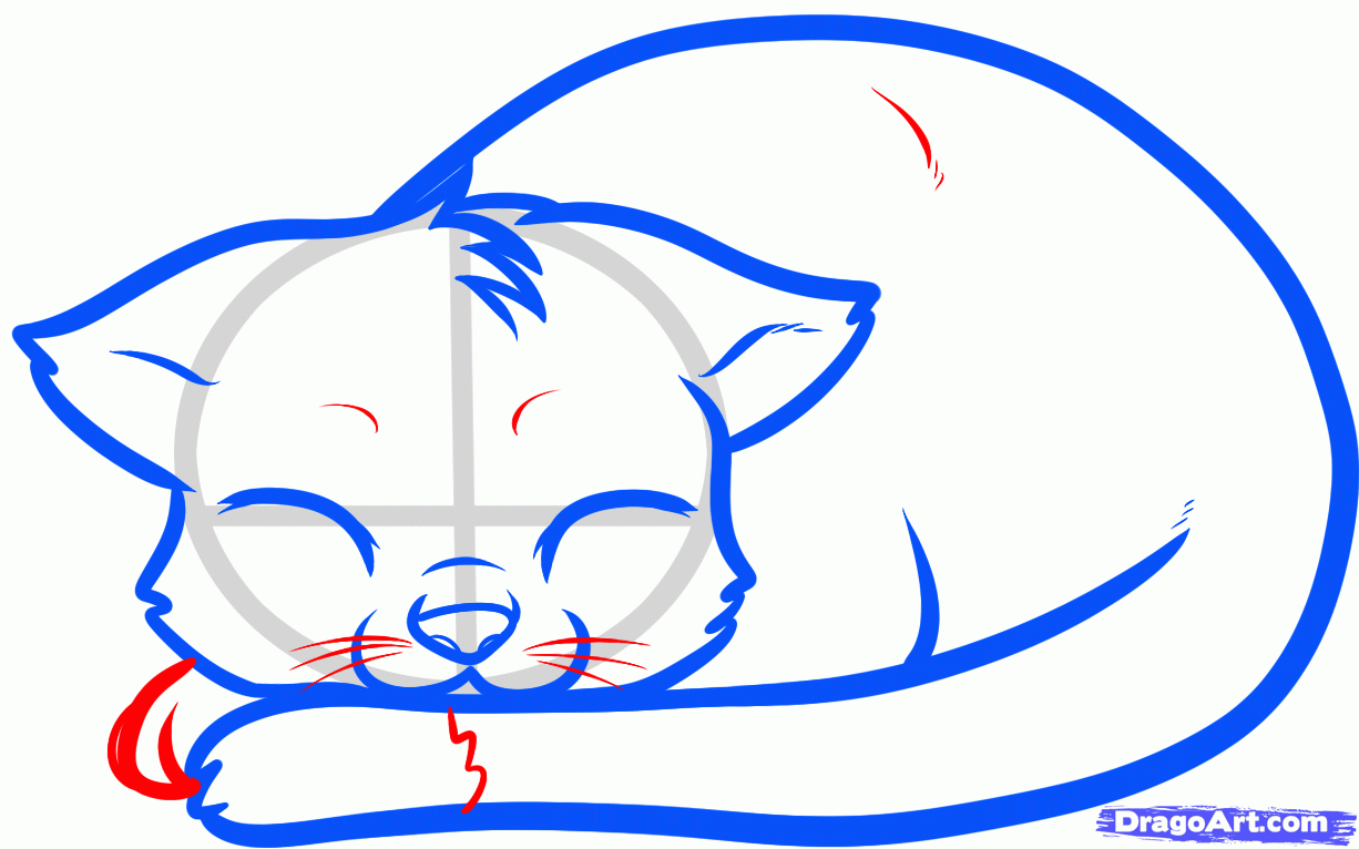 1226x766 How To Draw A Sleeping Cat, Sleeping Cat, Step By Step, Pets