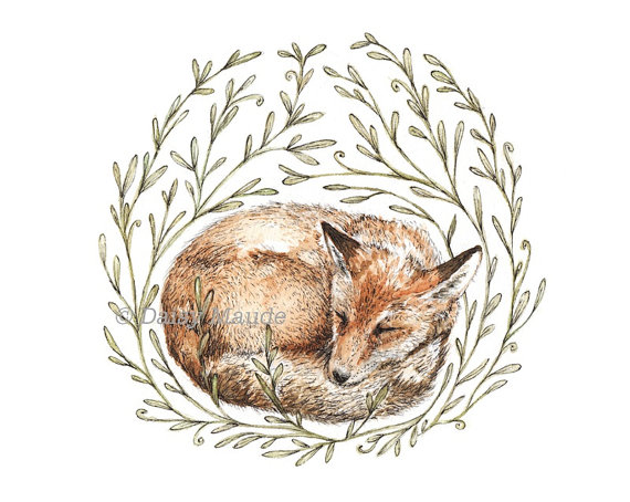 570x454 Little Sleeping Fox Nature Watercolour Pen Ink Illustration