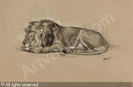 272x179 Sleeping Lion Drawing