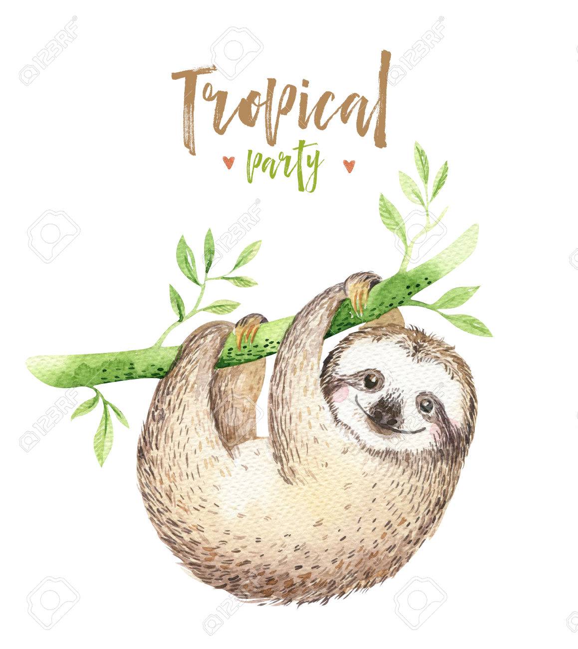 1158x1300 Baby Animals Sloth Nursery Isolated Painting. Watercolor Boho