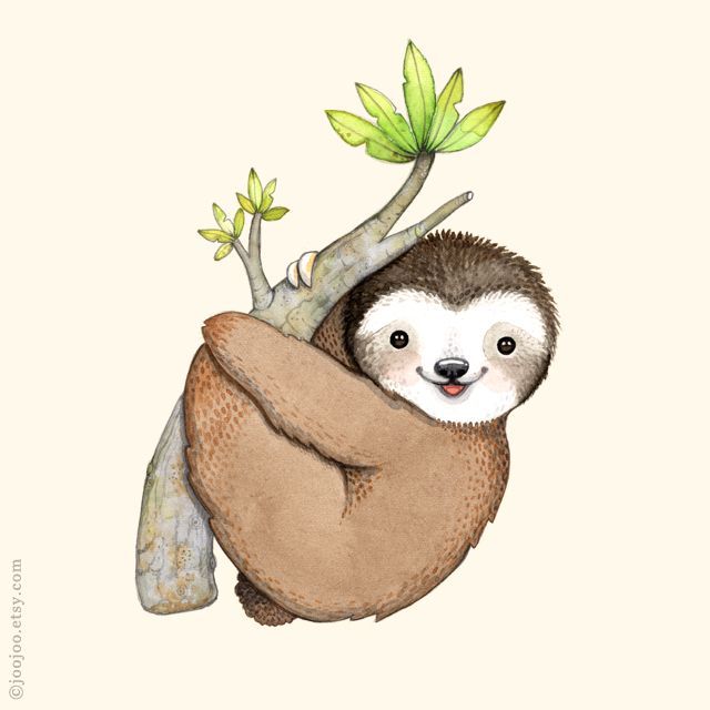 640x640 Resultado De Imagen De Sloth Illustration Cuevasmari 24@yahoo